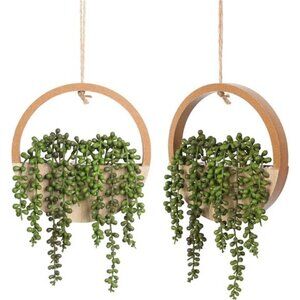 Floweroyal 2pcs Artificial Succulents Hanging Plants 12.2'' Fake String